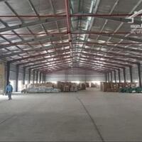 Cho thuê kho xưởng mới trong KCN Nhơn Trạch, Tỉnh Đồng Nai