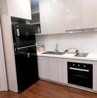 Cho thuê căn hộ chung cư 1N+1 Masteri West Heights Vinhomes Smartcity. Full nội thất 0981158507