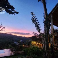 Bán Homestay View Hồ Đẹp Trung Tâm Thị Trấn Di Linh Lâm