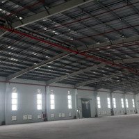 Cho Thuê Kho Xưởng Mới 6.500M2 - 13.100M2 Kcn Hải Sơn, Đức Hoà, Long An