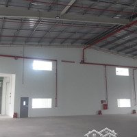 Cho Thuê Kho Xưởng Mới 6.500M2 - 13.100M2 Kcn Hải Sơn, Đức Hoà, Long An