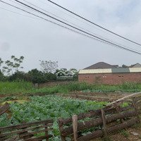 Bán Gấp Mảnh Đất Tân Yên Bắc Giang, Đất Vườn Cây Nhà Nghỉ Dưỡng, Phân Lô - Diện Tích 1400M2