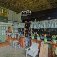 Sang Nhượng Homestay + Cafe - View Đỉnh Đồi Dã Chiến P11