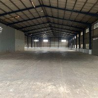 Bên Em Đang Trống Nhiều Kho Xưởng Từ 1000M2 - 5000M2 - 12.000M2 Tại Mỹ Tho - Tiền Giang