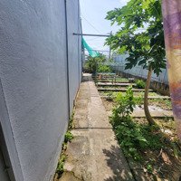Bán Nhà Vườn Mini Trong Dự Án Khu Sao Mai Nhựt Hồng