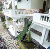 Cần Cho Thuê Villa Sân Vườn Mặt Tiền P5 Đà Lạt