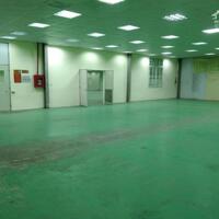 Cho thuê xưởng 4000m2 có sơn epoxy và phòng cháy tại Hợp Thịnh, Tam Dương, Vĩnh Phúc. Lh: 0986934038