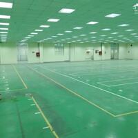 Cho thuê xưởng 4000m2 có sơn epoxy và phòng cháy tại Hợp Thịnh, Tam Dương, Vĩnh Phúc. Lh: 0986934038