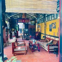 Cho Thuê Quán Cafe Gần Chợ Búng - Chỉ 8 Triệu/Tháng - 500M2 - An Thạnh - Bình Dương