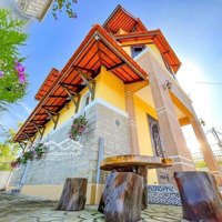 Cho Thuê Villa Sân Vườn Đà Lạt Giá Bán 18 Triệu 1 Tháng Fun Nội Thất