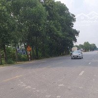 Cty Bán 1,5 Ha Đất Sxkd Đường 200, San Lấp 1/2, Chỉ 27,5 Tỷ