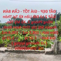 Đất Đẹp - Giá Tốt - Cần Bán Gấp 2 Lô Đất Liền Kề Tại Mỹ Lộc,Nam Định.