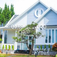 Cho Thuê Villa Sân Vườn 580M2-Vạn Hạnh - Phường 8 Đà Lạt