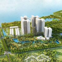 Tôi Cần Cho Thuê Shophouse Q7 Saigon Riverside Complex Nhiều Vị Trí