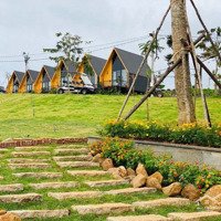 Nhà Homestay Bao Gồm 200M2 Đất100M Thổ Cư .