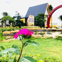 Nhà Homestay Bao Gồm 200M2 Đất100M Thổ Cư .