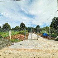Đất Sào Giá Rẻ Tại Tân Hưng - Đồng Phú