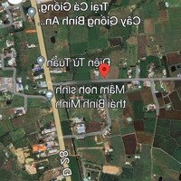 Cần Bán Đất 1.597,3M2 Đất Cây Lâu Năm - Hàm Chính - Hàm Thuận Bắc - Bình Thuận - Giá Rẻ Đầu Tư