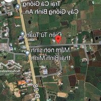 Cần Bán Đất 1.597,3M2 Đất Cây Lâu Năm - Hàm Chính - Hàm Thuận Bắc - Bình Thuận - Giá Rẻ Đầu Tư