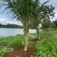 Vài Lô Đất Đẹp View Hồ Eanhai - Krongpak - Đăklăk Giá Tốt Để Xây Nhà Vườn, Biệt Thự, Homestay