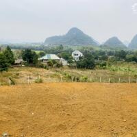 Bán Gấp trước tết Gần 4000m có tận 1700m đất ở ngay trung tâm xã giá rẻ chính chủ Cao Phong Hoà Bình