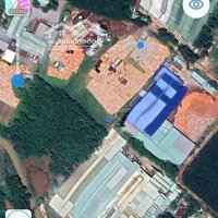 Xưởng Bán 4,6 Ha Có 1300M2 Xưởng Thu Nhập 700 Triệu/Tháng Giá Bán 54,9 Tỷ