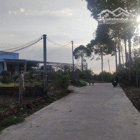 Chủ Bán Đất Nghỉ Dưỡng Có 200Tc Xã Hàng Gòn Tp Long Khánh