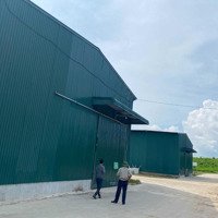 Cần Cho Thuê Kho, Xưởng Diện Tích 200 - 300 - 600M2 Tại Phú Thị - Gia Lâm