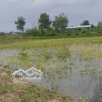 Cần Tiền Bán Lô Đất Vườn Cách Thị Trấn Hà Lam 2Km