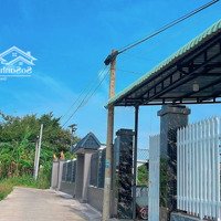 Bán Đất Phước Hội Đất Đỏ Bà Rịa Vũng Tàu