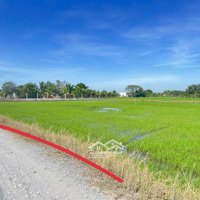 500M2 Thổ - Kế Bên Chutex Thổ Cư Đức Hoà Thượng Gần Nhựa