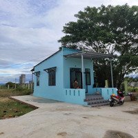 Bán Nhà Nuôi Chim Yến + Nhà Cấp 4 Mới Xây Với Đầy Đủ Nội Thất Tại Tp.phan Rang Tháp Chàm,Ninh Thuận