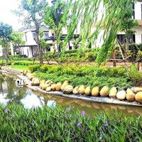 Bán Biệt Thự Đơn Lập Sinh Thái Swanbay - Zone 8 Vị Trí Đẹp