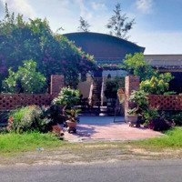 Homestay Và Trang Trại Trên Đảo Quan Lạn