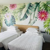 Bán Căn Hộ Khách Sạn Ib 0805, Flamingo Ibiza Hải Tiến