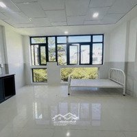 Khai Trương Căn Hộ Kdc Kim Sơn - Tdt, Rmit Giá Hạt Dẻ - Mới Keng