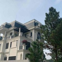 Hot! Biệt Thự The Phoenix Garden 200M2 Hướng Đông Nam