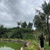 Bán Nhanh Farm Nghỉ Dưỡng View Siêu Đẹp