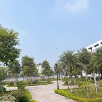 Nguyễn Mậu Tài - Gia Lâm. Khu Phân Lô Liền Kề. Sát Khu Hành Chính Gia Lâm. Hàng Ocean Park Cực Vip