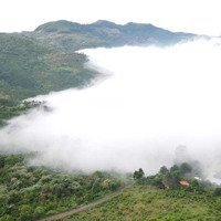 Đất Nền Biệt Thự 1000 M2 View Hồ, Săn Mây Tại Khu Làng Oa Bảo Lộc.