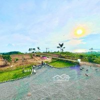 Bán Gấp Đất View Trực Diện Hồ Trị An Đường Rộng Ô Tô Vào Tận Nơi Sổ Sẵn Công Chứng Liền