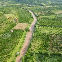 Rẻ Đẹp - 500M2 Đất Thị Trấn Giáp Sông 159 Triệu | Có Cây Ăn Trái Bưởi, Dừa, Sầu Riêng, Mắc Ca