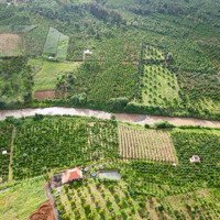 Rẻ Đẹp - 500M2 Đất Thị Trấn Giáp Sông 159 Triệu | Có Cây Ăn Trái Bưởi, Dừa, Sầu Riêng, Mắc Ca