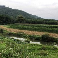 Đất Diện Tích Rộng Chỉ Vài Trăm K/M2 Ngay Cầu Tu Vũ, Thanh Thủy, Phú Thọ