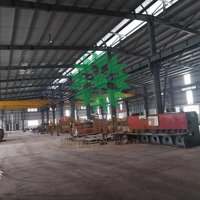 Cho Thuê Kho Xưởng 300M2 - 500M2 - 600M2 - 1200M2 - 2300M2 - 5000M2 Tại Tp Vinh, Nghệ An