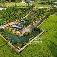 Ban View San Vườn, Long Tân, Đất Đỏ