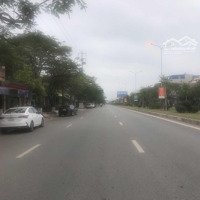 Lô Góc Mặt Đường Nguyễn Hữu Cầu Hải Sơn, Đồ Sơn, Hải Phòng 162M