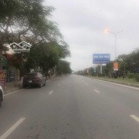 Lô Góc Mặt Đường Nguyễn Hữu Cầu Hải Sơn, Đồ Sơn, Hải Phòng 162M