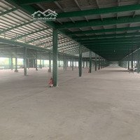 Cho Thuê Xưởng Ccn Phước An Tuy Phước 6500M2