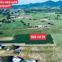 Cần Bán Đất Đường Bê Tông 185 Triệu Tại Ninh Hoà,Khánh Hoà